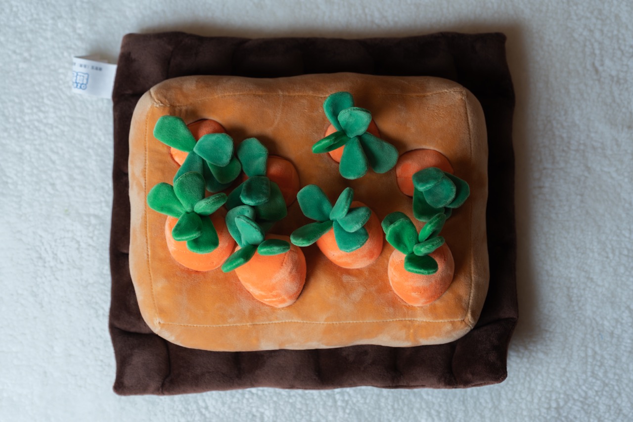 韓國趣智寶胡蘿波藏食玩具(大)