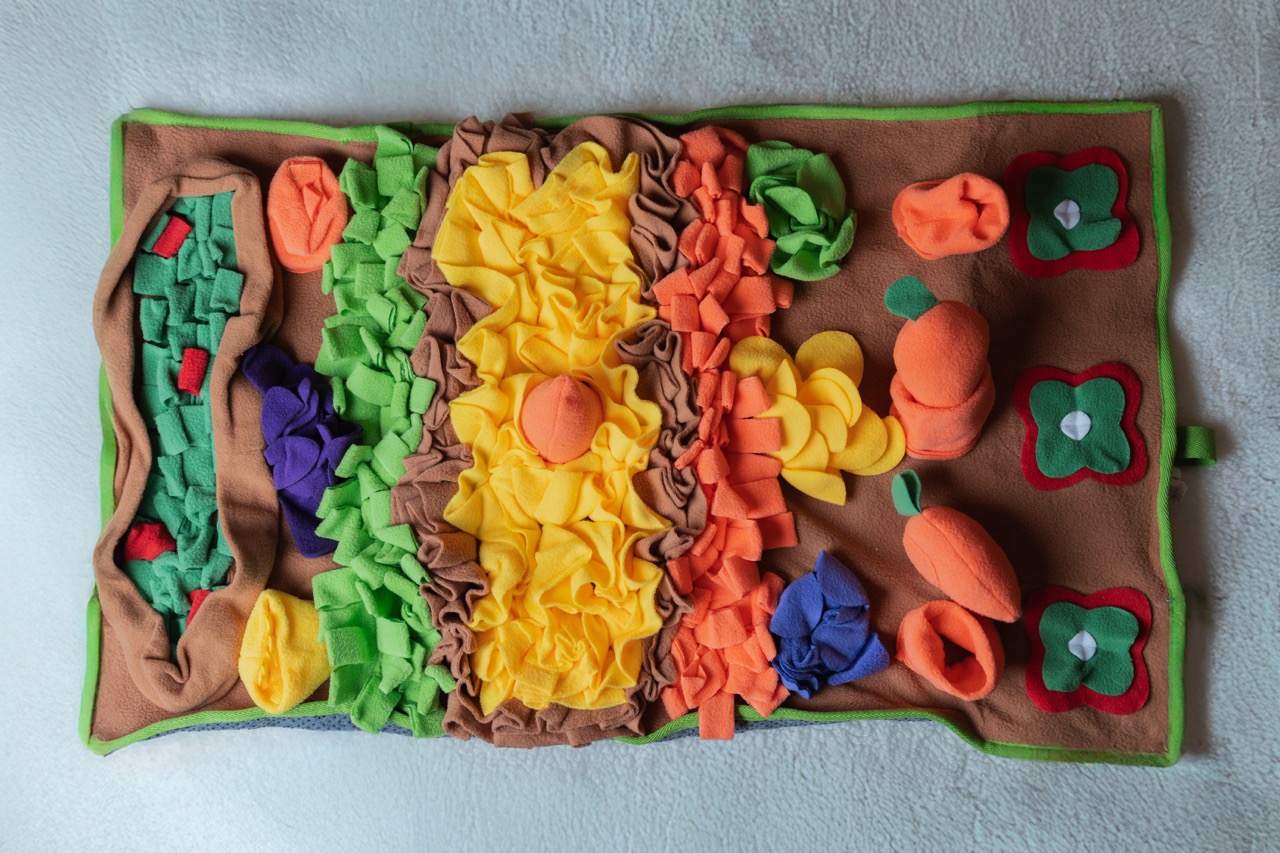 益智聞嗅墊玩具