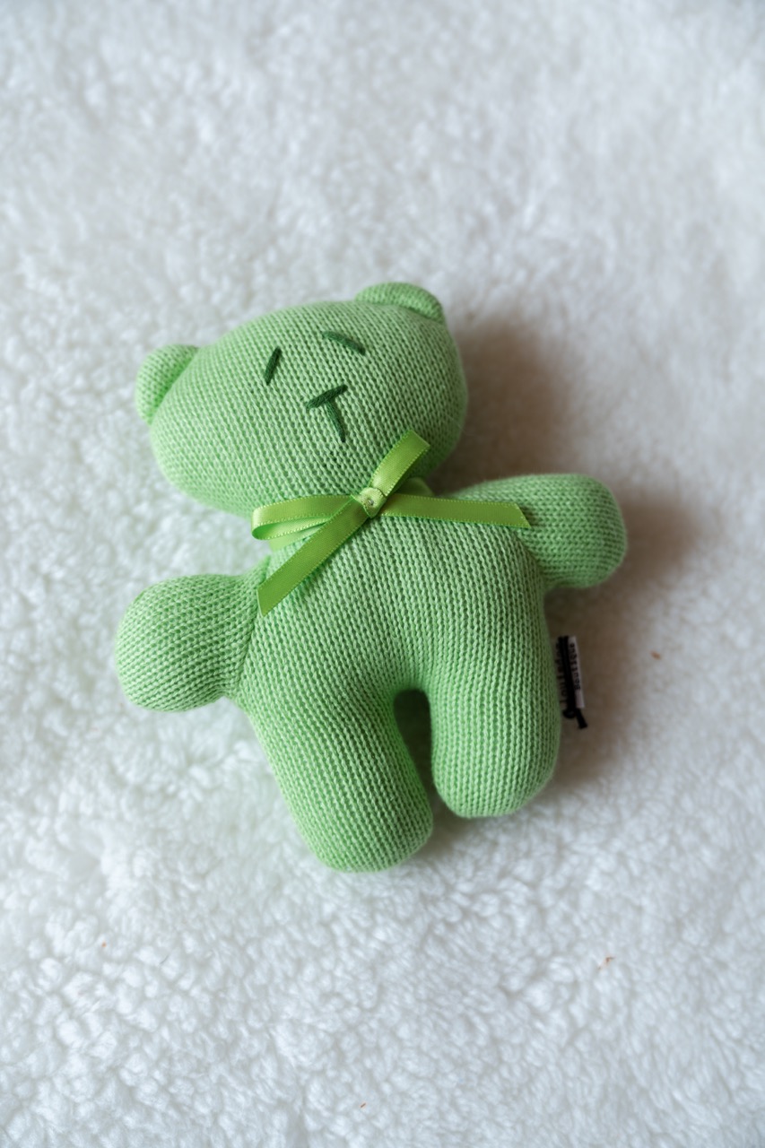 綠色熊熊發聲玩具