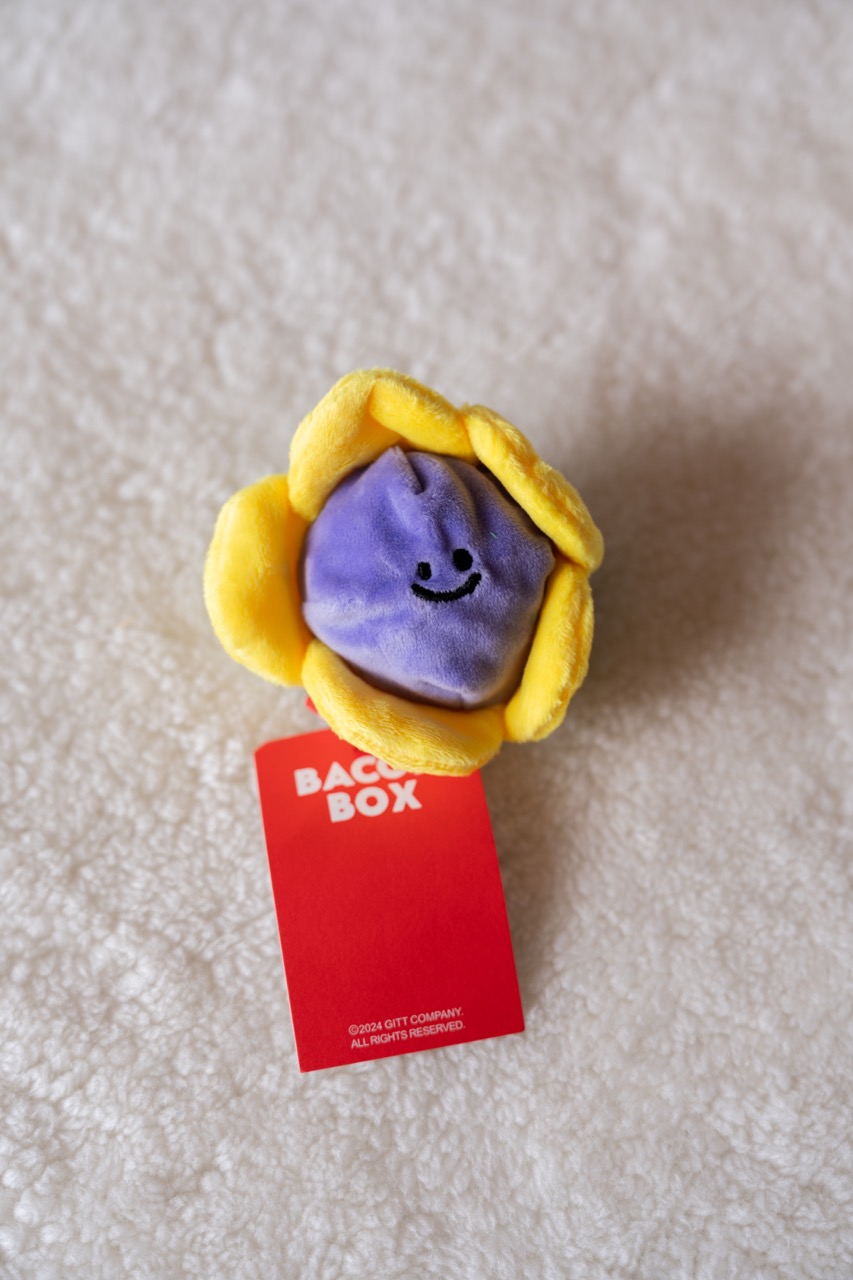 韓國正版 Bacon花朵球造型