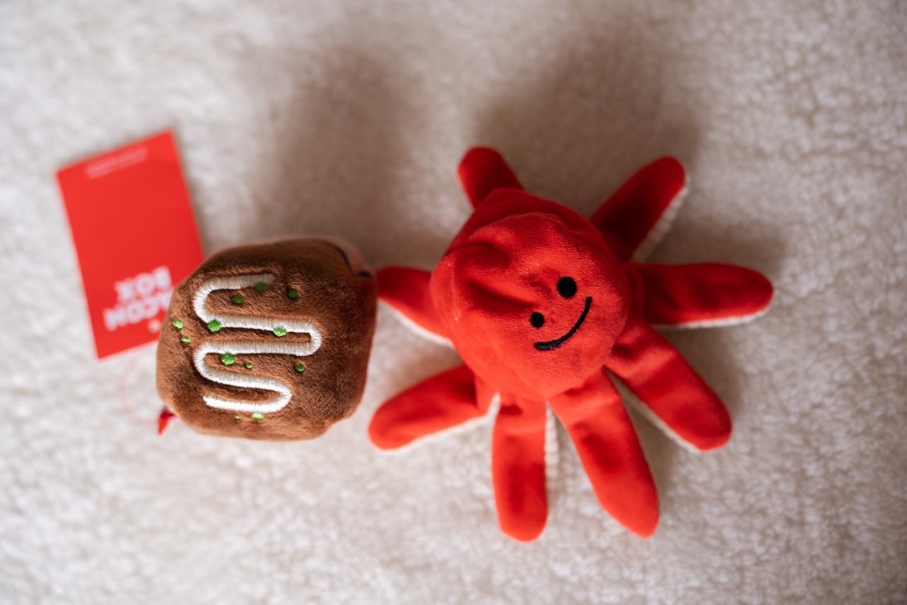 韓國正版 Bacon章魚