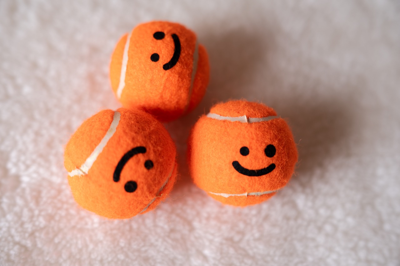 韓國正版 Bacon 寵物網球