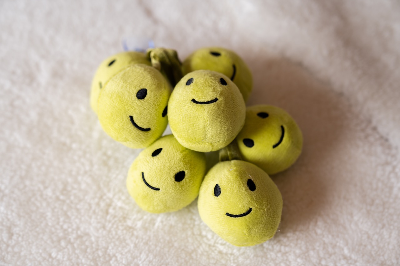 笑臉綠色串狗狗咬咬發聲玩具