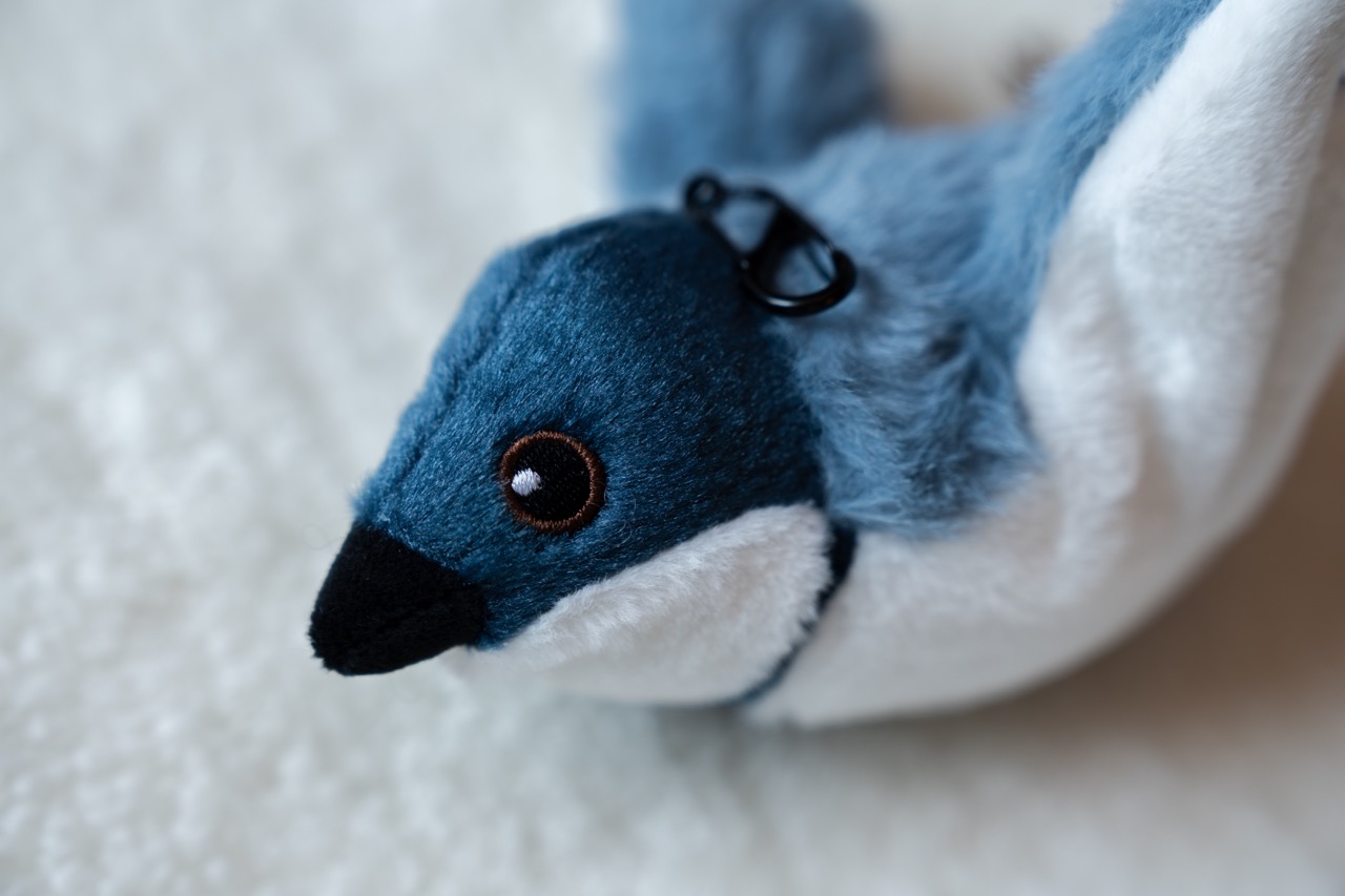 電動抖抖鳥 跳舞鳥-藍鵲