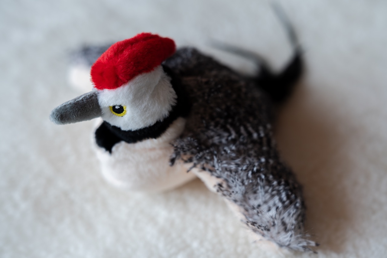 電動抖抖鳥 跳舞鳥-啄木鳥