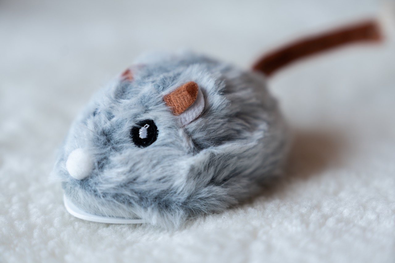 電動抖抖鳥 跳舞鳥-老鼠